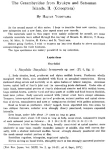 横山さんの1971年の記載論文と付図