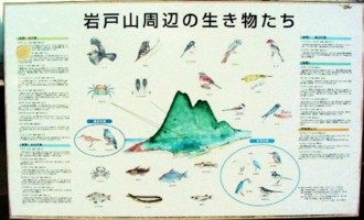 岩戸山の生き物を紹介した看板