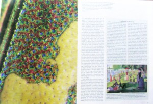 Schultzが示した盃刻発色構造の色のモザイク配列とスーラの点描画