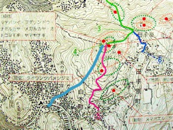 彦山の登山観察コース