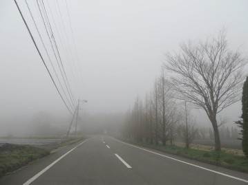 霧雨の飯田高原