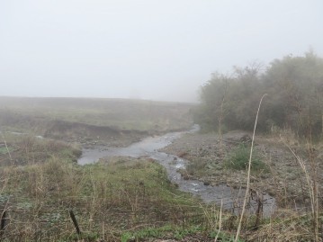 霧雨の小河川