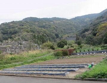 中甑の谷