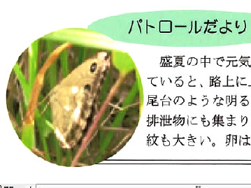 ジャノメチョウ(準絶滅危惧 No.49 2004年9月号）